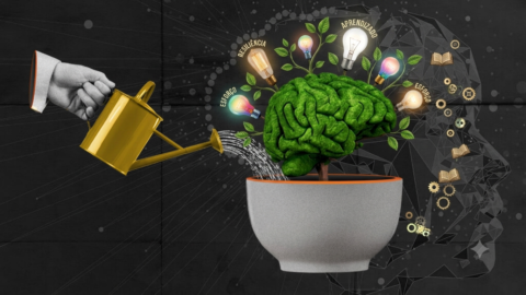 Mentalidade de Crescimento: O que É e Como Desenvolver